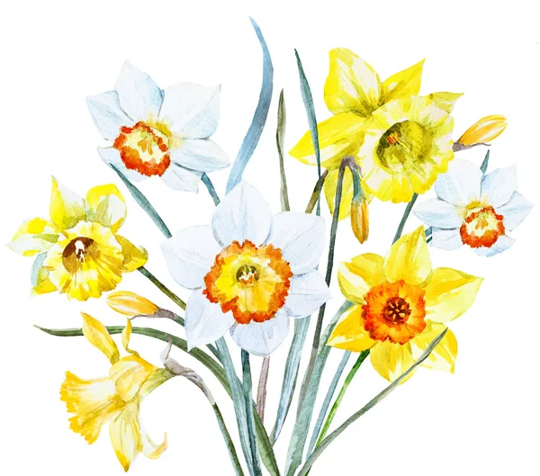 Aquarell Frühlingsblumen — Stockfoto