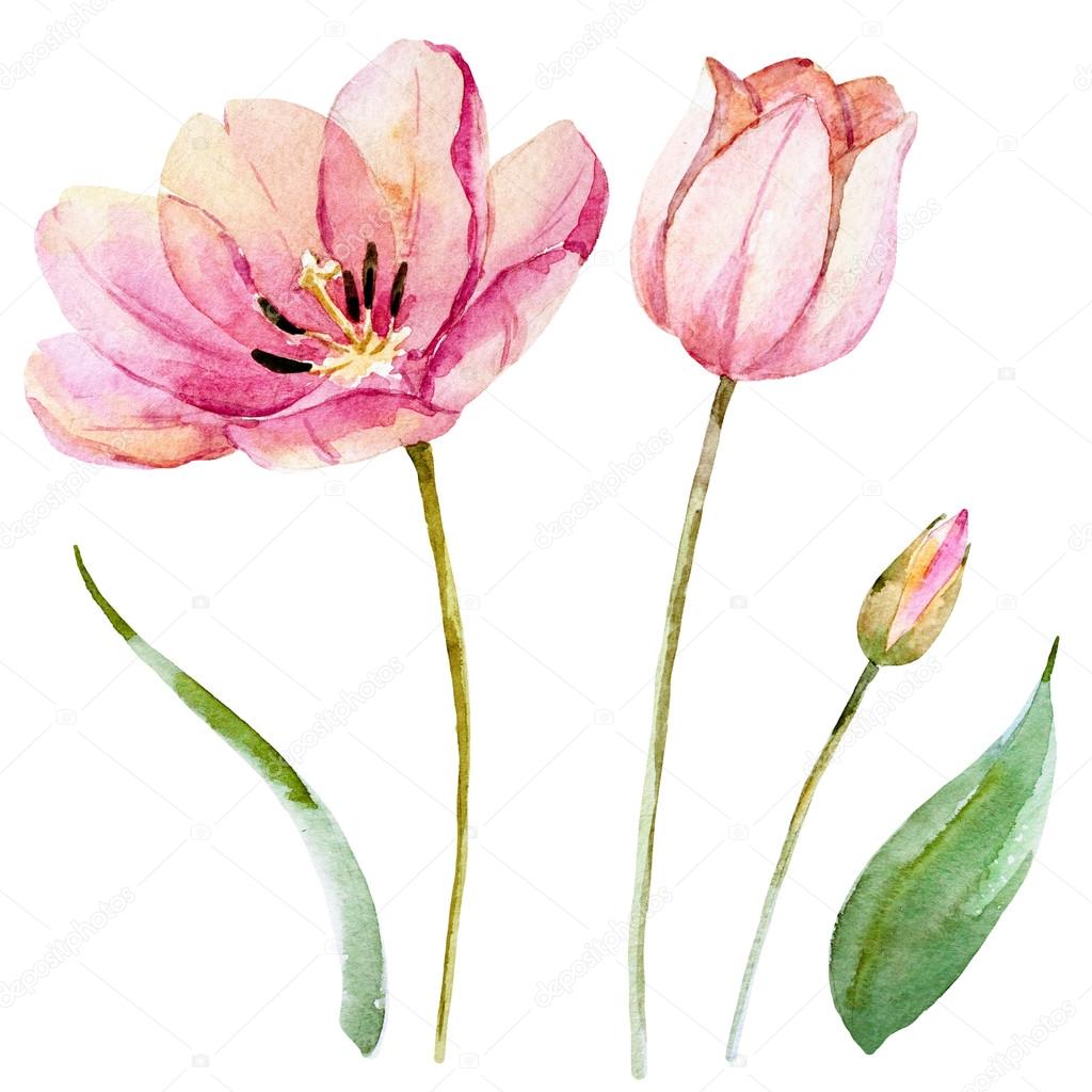 Watercolor raster spring flowers