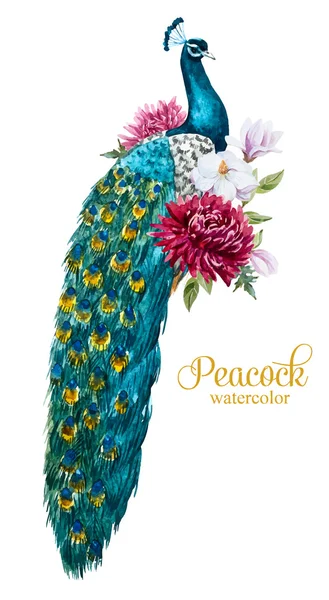 Acuarela pavo real con flores — Vector de stock