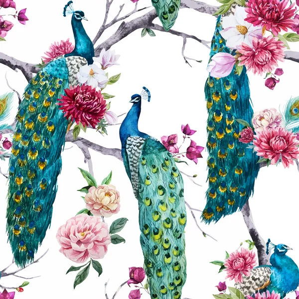 Aquarel peacock en bloemen patroon — Stockvector