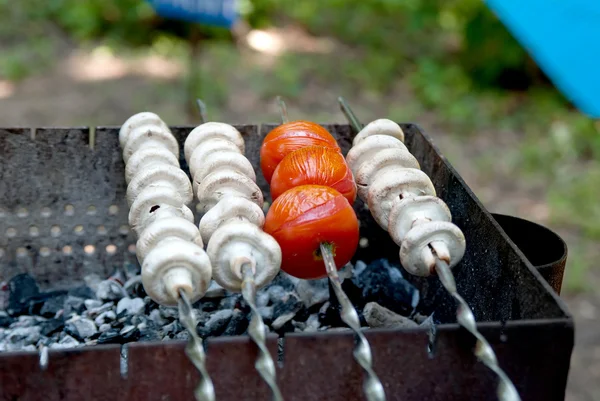 Veggie grillspett — Stockfoto