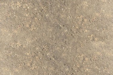 Zemin dokusu - kahverengi bir kompakt ve taşlı zemin parçasının yakın çekimi - taşlı arka plan