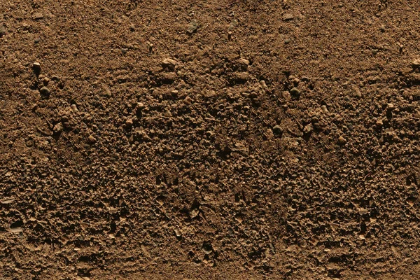 Ground Texture Close Fragment Brown Compact Stony Ground Stony Background Stock Picture