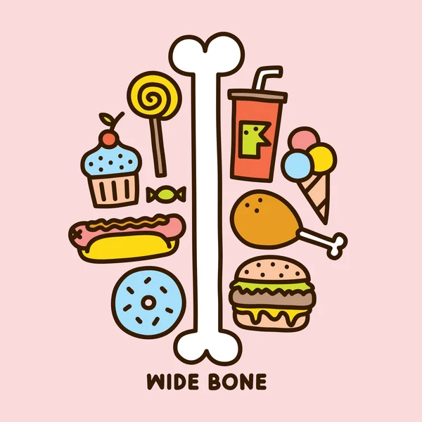 Wide bone vector illustration — Stock Vector