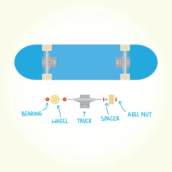 Skateboard gol și părți vector izolat — Vector de stoc