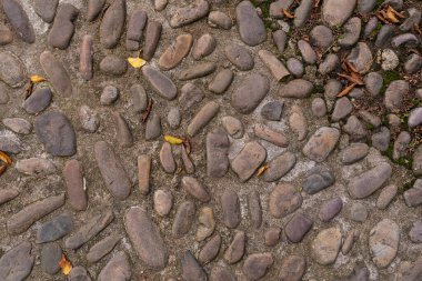 Ortaçağ zemininin taşları