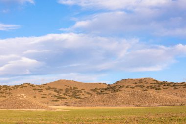 Açık mavi gökyüzü olan yeşil bir tarlanın arkasındaki kayalık dağlar.