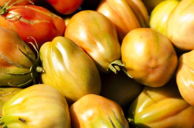yeşil ve kırmızı domates salata sosu için