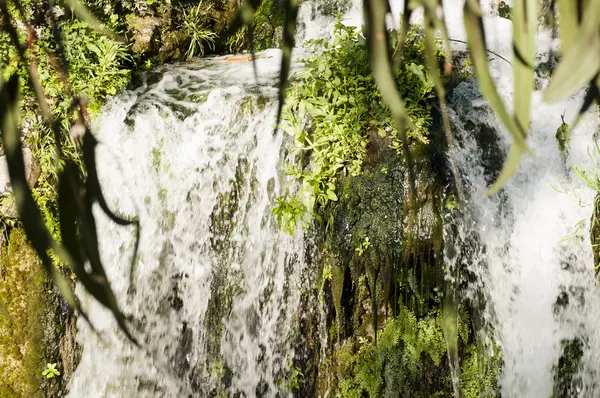 Водопады в парке — стоковое фото
