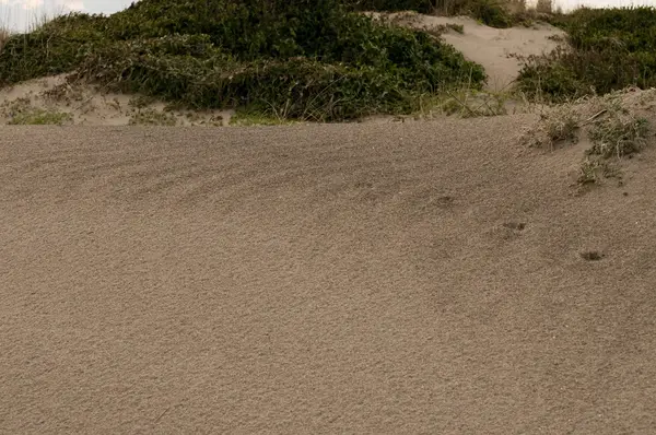 Onde di vento di dune di sabbia — Foto Stock