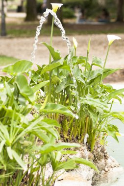 Hangi genel bir çeşme detayını su akışı akar