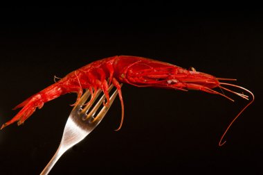 taze kırmızı çubukla Japonca karides