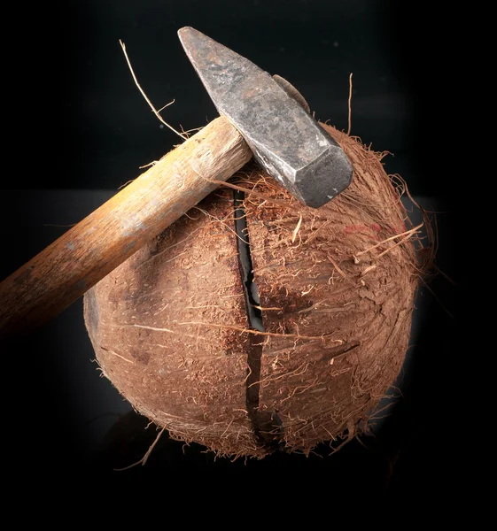 Noix de coco cassée en deux avec un marteau — Photo