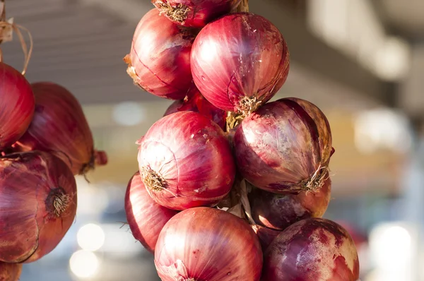 The red onions Royalty Free Stock Images