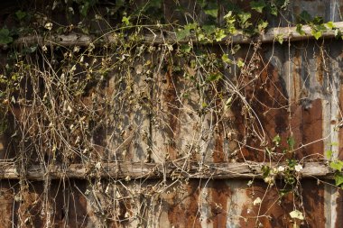 Doku pas ile galvanizli eski plaka