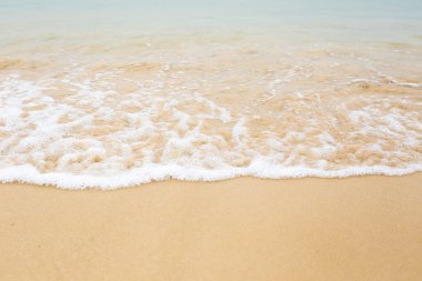 plaj ve tropikal deniz