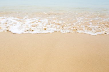 plaj ve tropikal deniz