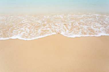 plaj ve tropikal deniz