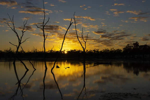 Sunset at Lara wetlands and camping grounds in outback Western Queensland, Australia with drowned trees and reflections caused by artesian bore runoff.