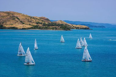 Queensland, Hamilton Adası 'nda yarışan küçük yelkenli filosu. Her yıl düzenlenen dünya klasmanında..                               
