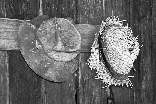 Two shabby vintage old hats in black and white, one of felt, one of straw, hanging on pegs against distressed wooden plank wall.