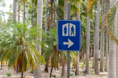 Palmiye ağaçlı tropik bir parktaki tuvaletlerin yerini gösteren mavi ve beyaz bir tabela..