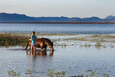 Kinchant Barajı, Queensland, Avustralya - Eylül 2015; Gün batımında atını sulayan genç kız.