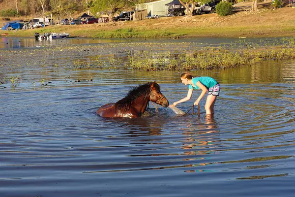 Kinchant Dam Queensland Αυστραλία Σεπτέμβριος 2015 Νεαρή Κοπέλα Ποτίζει Άλογό — Φωτογραφία Αρχείου