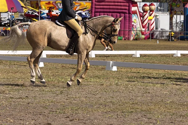 Horseshowing Hans Steg Dressyr Händelse Mot Bakgrund Funfair — Stockfoto