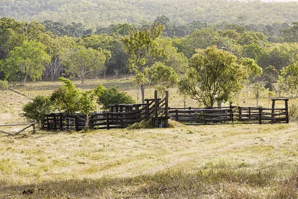 Wooden Cattle Yards Late Afternoon Sun Country Queensland Australia — Stock Photo, Image