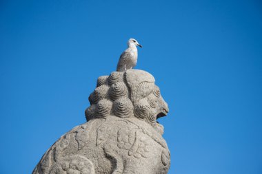 Martı kafa taş aslan - içinde sahildeki bir anıt üzerinde