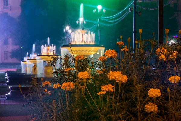 Fiori su uno sfondo di Fontana illuminata sulla piazza principale — Foto Stock