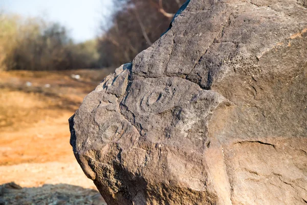 Tarih öncesi kaya çizimler - buzlu petroglifler Amur R yakın: