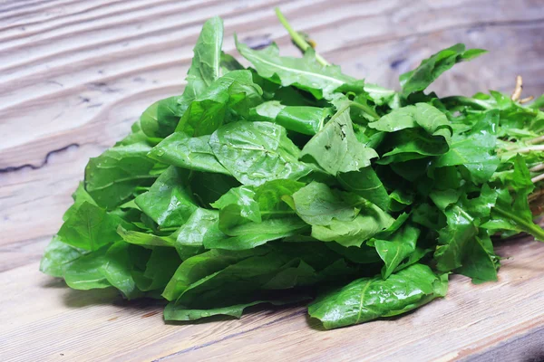 karahindiba yaprakları