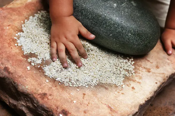 Batan mutfak malzemesi