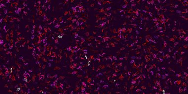 Açık Pembe, iş kadını işaretli sarı vektör şablonu. Modern stilde eğilim gösteren renkli feminizm sembolleri. Duvar kağıtları için zarif tasarım.