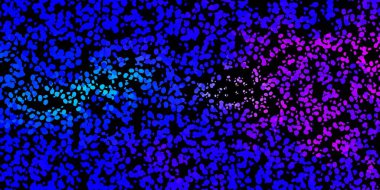 Rastgele şekilli koyu pembe, mavi vektör arkaplan. Basit bir şekilde gradyan olan renkli soyut biçimler. Reklamlarınız için modern tasarım.