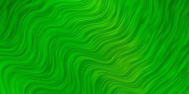 Açık yeşil, kıvrımlı sarı vektör arkaplan. Rengarenk çizgileri ve şekilleri olan parlak bir örnek. Terfileriniz için akıllı tasarım.