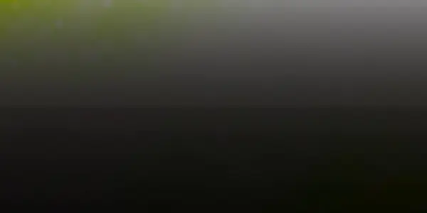 ライトグリーン サークル付きイエローベクトルの背景 — ストックベクタ