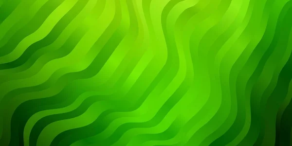 Modèle Vectoriel Vert Clair Avec Des Lignes Douces — Image vectorielle