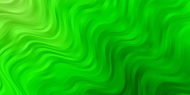 Dairesel yay ile açık yeşil vektör düzeni. Soyut bir şekilde gradyan eğimli bir tasvir. Broşürler, broşürler için desen.