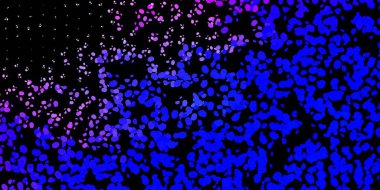 Soyut şekilli koyu pembe, mavi vektör şablonu. Soyut tarzda renkli şekilli bir illüstrasyon. Web siteniz için basit illüstrasyon.