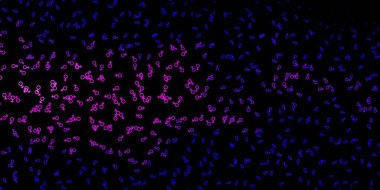 Koyu mor, sihirli elementlerle pembe vektör deseni. Renkli mistik semboller. Antik tarzda bir eğilim var. Doğaüstü tasvirler için basit tasarım.