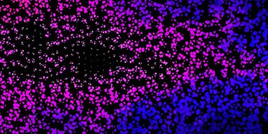 Koyu mor, soyut şekilli pembe vektör deseni. Basit bir şekilde gradyan olan renkli soyut biçimler. Cep telefonları için arka plan.