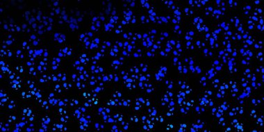 Soyut şekilli koyu mavi vektör deseni. Basit gradyan şekilli renkli bir çizim. Duvar kağıdı seti için zarif tasarım.