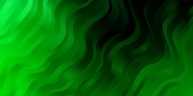 Çizgileri olan koyu yeşil vektör deseni.