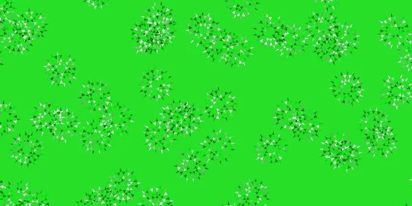 Světle Zelené Vektorové Přirozené Uspořádání Květinami Barevné Květiny Přírodním Stylu — Stockový vektor