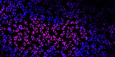 Soyut şekilli koyu mor vektör şablonu. Soyut tarzda renkli şekilli bir illüstrasyon. İşiniz için akıllı tasarım.