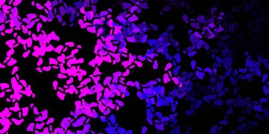 Soyut şekilli koyu mor bir vektör şablonu. Gradyan rastgele formlarla modern soyut illüstrasyon. Duvar kağıdı seti için zarif tasarım.