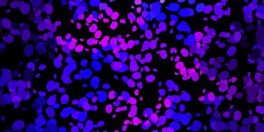 Koyu mor, pembe vektör arkaplan ve rastgele şekiller. Basit gradyan şekilli renkli bir çizim. Reklamlarınız için modern tasarım.